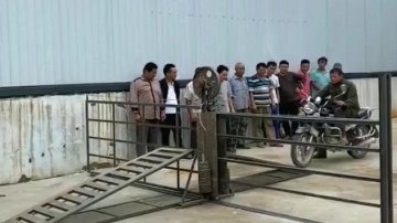 高手在民间：村民自己研究设计的自动门，是不是有点拉风！