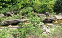 自然风景片:四川广元市昭化区:柏林沟沟景