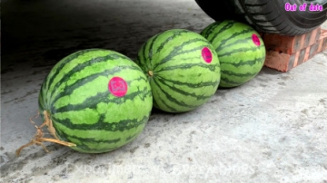 减压实验：牛人把西瓜、糖果、史莱姆放在车轮下，好减压，勿模仿