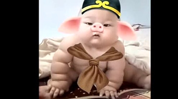 猪八戒有小宝宝了，太萌了，太可爱了