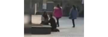 【拍客】实拍男子景区内长跪不起 给女友捶腿还被打脸