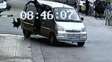 太嚣张！实拍盗狗团伙当众偷狗 2秒就能套上车