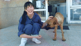 台湾女孩吞狗安乐死药自杀身亡 曾被称“屠夫”