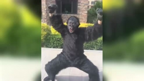 假扮大猩猩藏在垃圾桶里，结果直接被踹了