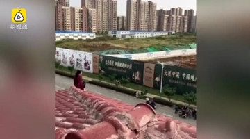 女子埋怨老板欲跳楼