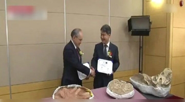 韩国发现7千万年前暴龙化石 与蒙古共享文化遗产