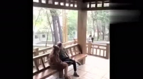 最坑搞笑恶搞，数你胆量最大