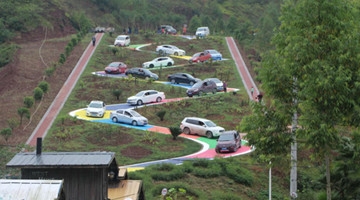 重庆一彩色S型公路走红 网友：像在考科目二