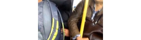 【拍客】面对防不胜防的小偷 你该怎么做？