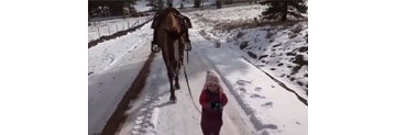 【拍客】女童雪地牵马被缰绳绕腿 暖心马儿耐心等候