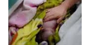 【拍客】高中生生下女婴 怕孩子哭勒死抛弃