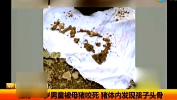 母猪体内发现2岁孩子，看了有点后怕！