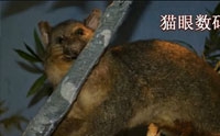 天津自然博物馆一游