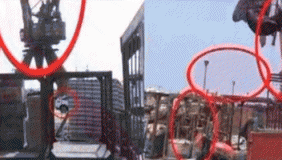 广西罕见鲸鲨被捕杀涉案人员被刑事拘留