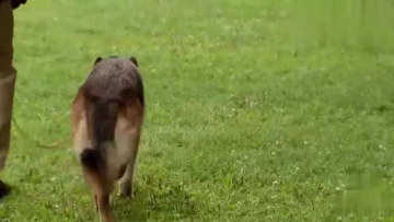 国外恶作剧：假肢恶搞！