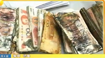 老人将20万现金藏床底3年长满霉斑 银行员工数钱数到吐