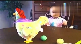 当萌宝看到会下蛋的老母鸡时的反应，太可爱了