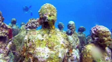 泰国海底发现神秘人脸 游客潜水涛岛被吓坏