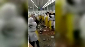 湖北一生产车间发生内讧 小龙虾被扔得满天飞