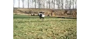 【拍客】政府强占农民耕地 百亩小麦被毁