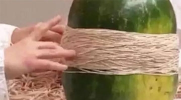 两男子用700根皮筋勒西瓜 没想到小哥脸被炸肿