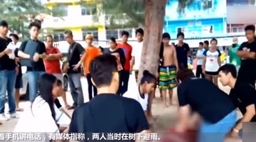 情侣树下亲热遭雷劈，不幸身亡