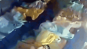 监拍4岁男童幼儿园意外身亡 午睡时突发抽搐