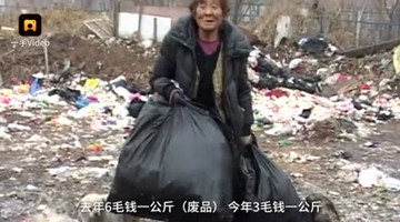 7旬老太太收留42只流浪狗 每天靠卖废旧养活