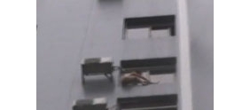 【拍客】柳州吸毒女一丝不挂欲跳楼 市民围观拍照