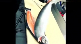 牛人切割三文鱼，刀法太犀利，太霸气了啊