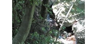 【拍客】风光片:四川广元天曌山滴水山泉