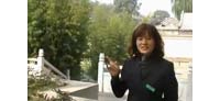 【拍客】黄崖关长城的美女导游在长寿园解放