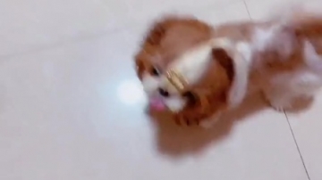 萌娃来袭