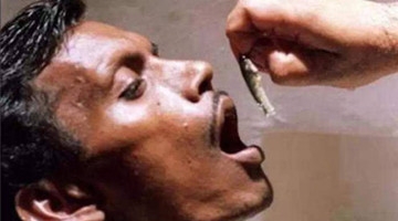 印度人排长队生吞活鱼 认为能治疗哮喘