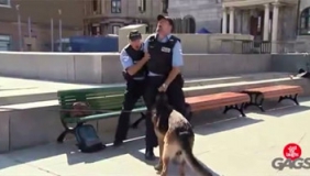 疯狂的狗袭击警察，公园长椅之争！