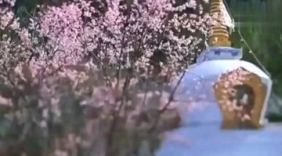 男声高歌伴西藏，西藏风景实拍，人间的天堂！