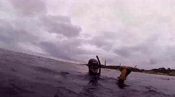 男子潜入海底世界，从石缝里揪出一只半人大龙虾！