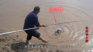 黄河涨水！小胖实拍：钓上5斤黄河鲤鱼，50岁大哥激动地像孩子