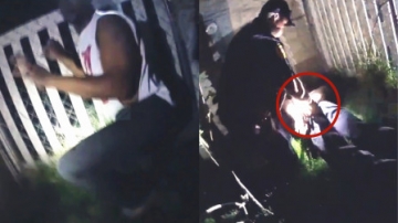 震惊！美国警察执法放狗撕咬黑人 被咬者恐需截肢