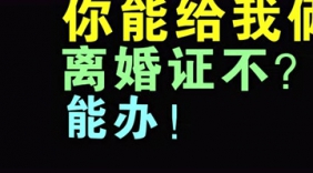 恶搞办证大哥，祝愿大哥弃证从良！