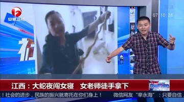 厉害！大蛇深夜潜入女寝 老师徒手擒蛇做夜宵