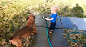 前方高能！萌宝们的可爱暴击来袭！