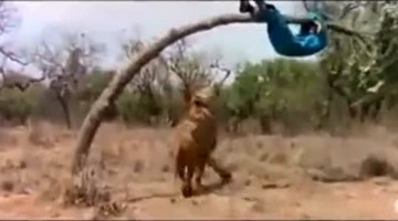 恶搞配音《上帝也疯狂》，笑得肚子痛