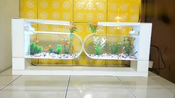 景观鱼缸太贵买不起，看牛人怎么用PVC管改造一个，这技术太牛了