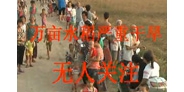 水库把水高价出售他用 万亩水稻严重干旱