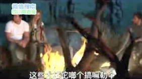 方言恶搞变形金刚