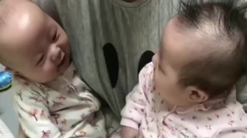 萌娃：双胞胎宝宝奶声奶气的跟对方聊天，开心又热闹的画面，萌炸了