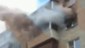 俄一家四口躲避火灾从5楼跳下 邻居用床单接住