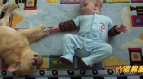 当超萌宝宝遇上超萌汪星人！一切萌将不可言，都在时光小可爱里
