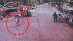 中国女游客在泰国老虎园失踪 200人搜寻未果